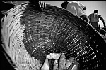 India, Tamil Nadu,march2005.<br><br>Local fisherman select the few fish the catched.<br><br>Victims of the Tsunami are struggling to survive after the Tsunami, their main business as fisherman have been made impossible by destroyed boats and nets.<br>while improvising and take the risk to fish the sea using a inferior boat, local people don't want to eat the fish, so prizes go down to 20% of before.<br><br>The Indian Government claims to have the situation under control and don't accept foreign aid, in the meantime they move fisherman away from the beaches to remote areas, where their chances of survival will be even less.<br>